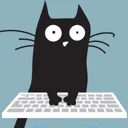 Maintainer: Derek-TH-Wang