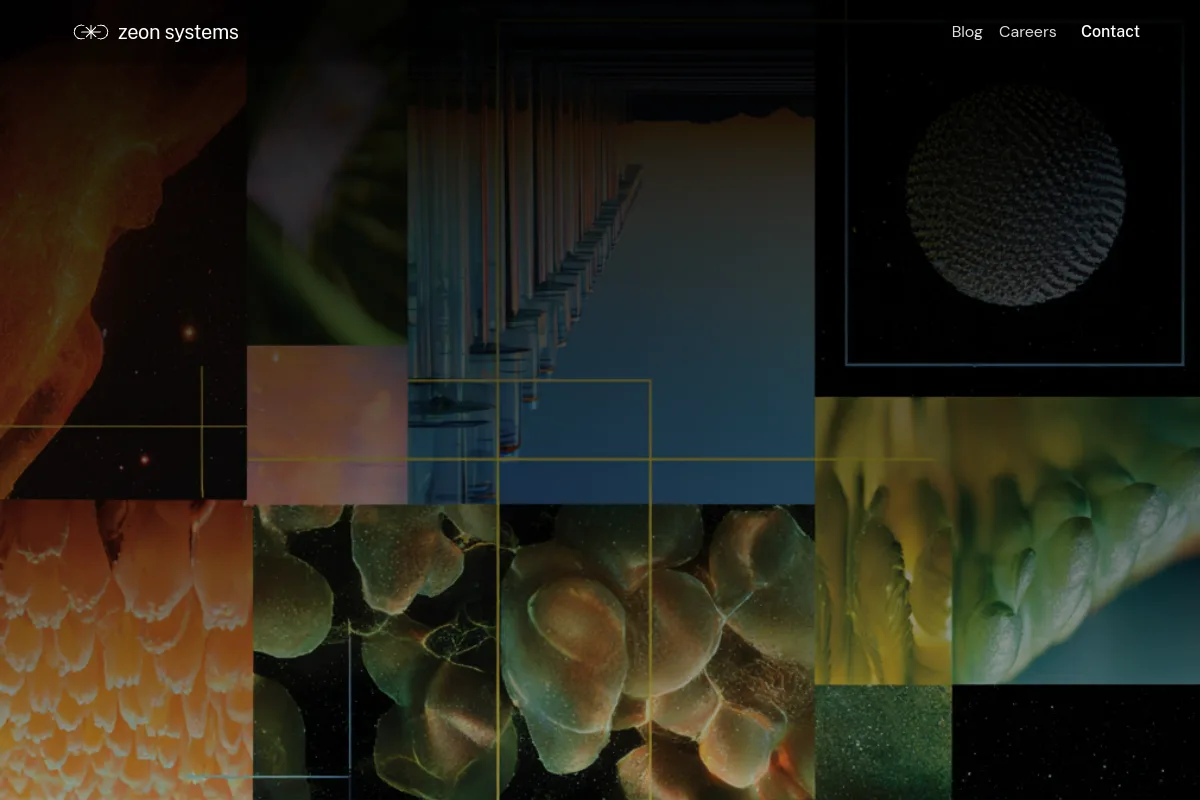 Zeon Systems website or repository screenshot