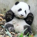 Maintainer: DapengFeng