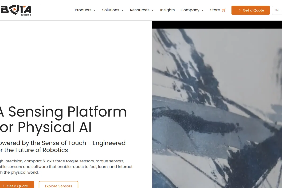 Bota Systems website or repository screenshot
