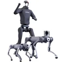 Publisher identity: unitreerobotics
