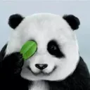 Maintainer: HuangCongQing