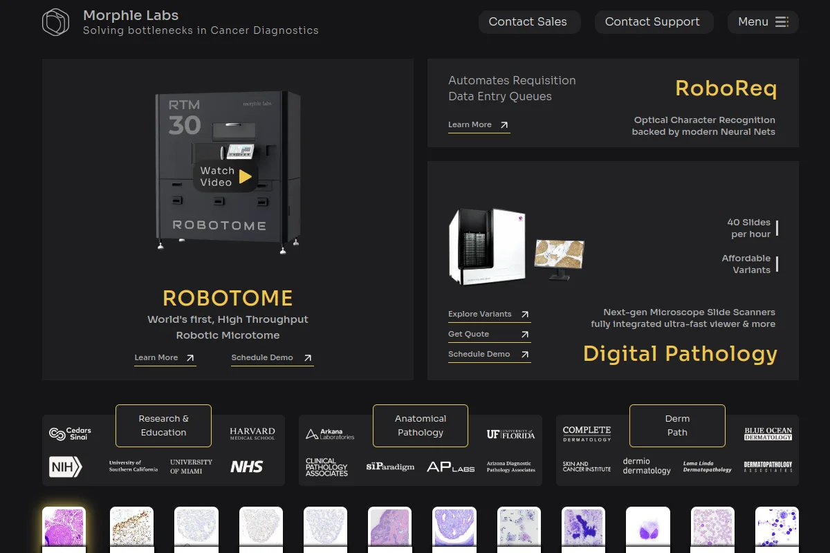 Morphle Labs website or repository screenshot
