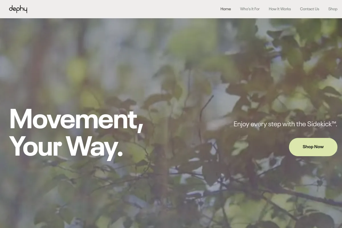 Dephy website or repository screenshot