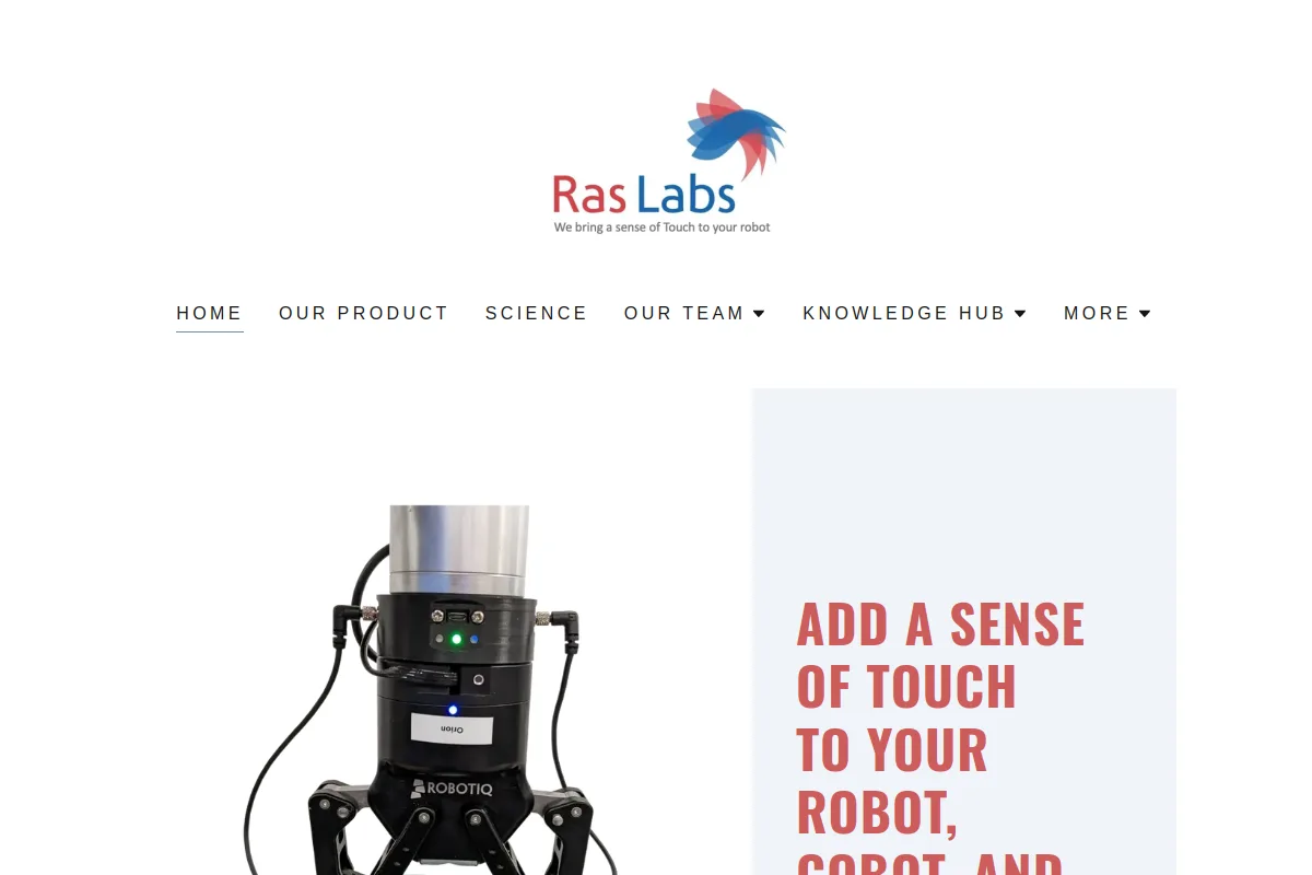 Ras Labs website or repository screenshot