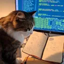 Maintainer: ariannagavioli